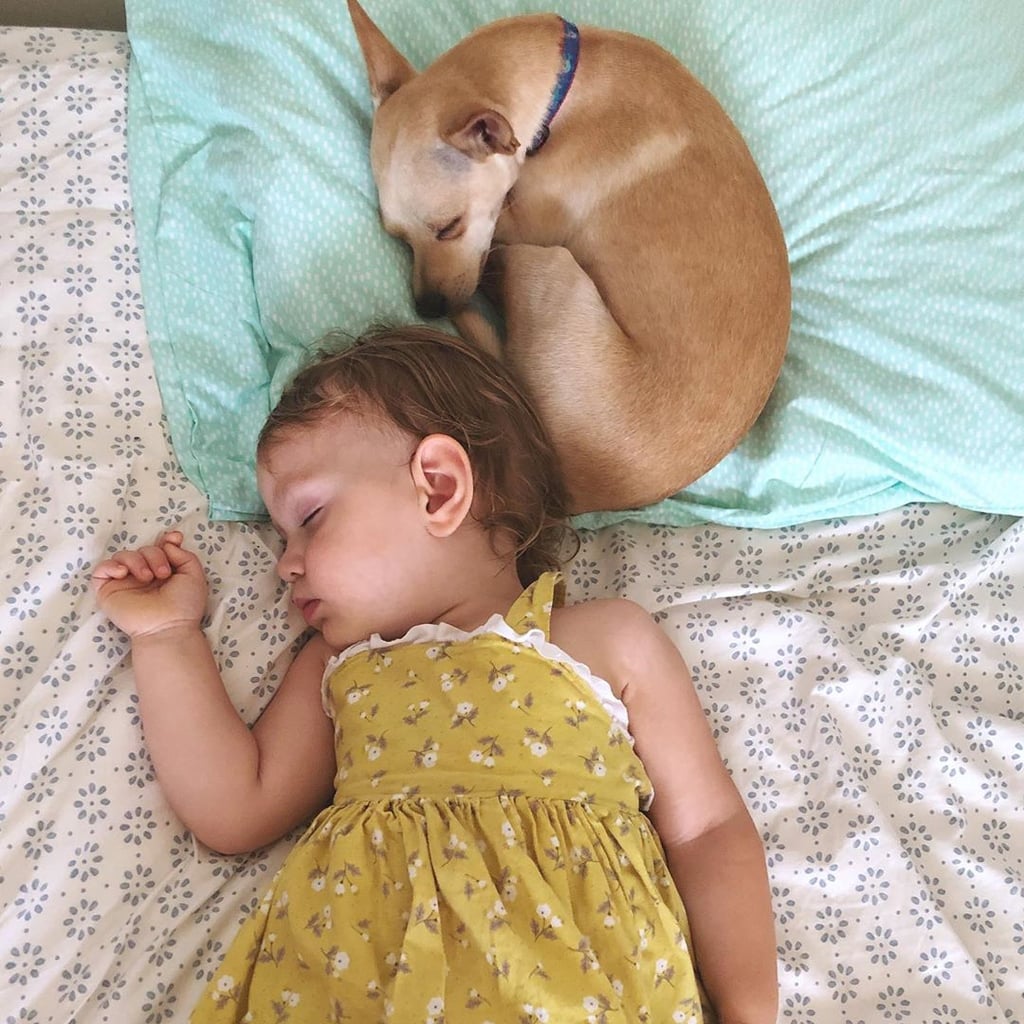 Cute Pictures of Dogs Napping With Kids and Babies