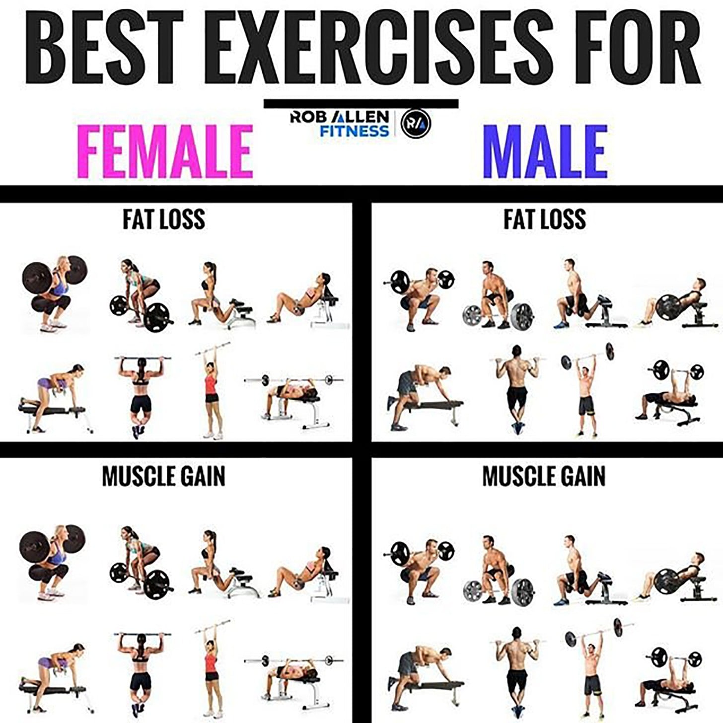 The Best Body Fat-Reducing Exercises to Build Muscle and Lose Fat