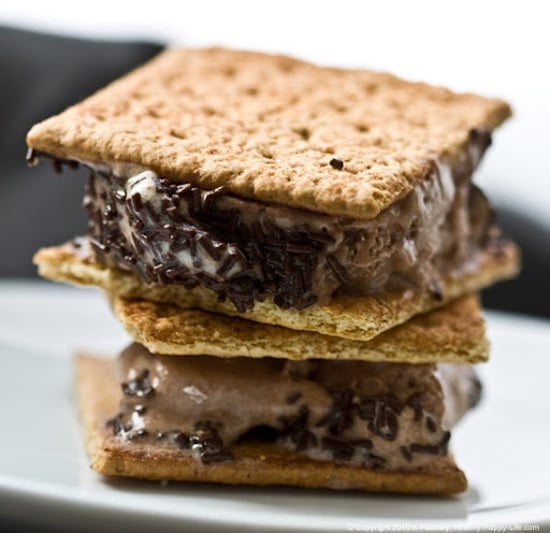 S'mores Ice Cream Sandwiches