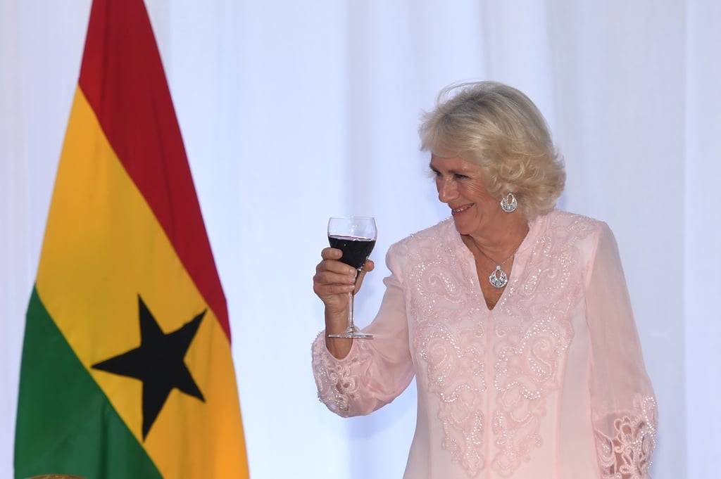 Prince Charles and Duchess Camilla Dancing in Ghana Video