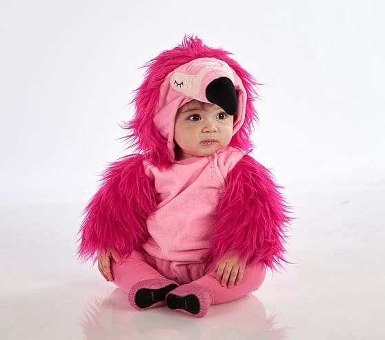 Baby Flamingo Costume | 12 Cute Halloween Costumes That Will Make It Hard  to Put Down Your Camera | POPSUGAR Family Photo 2