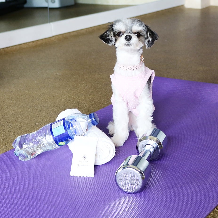 At Eden Roc Cap Cana, I was indulging A LOT, so I knew I had to maintain my bikini bod by hitting the gym every morning!