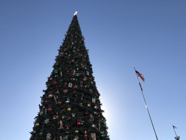 The Tree Is Decorated With Nearly 1,800 Ornaments.