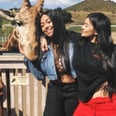 Kylie Jenner Flashes Her Tiny Baby Bump in Instagram Photo With BFF
