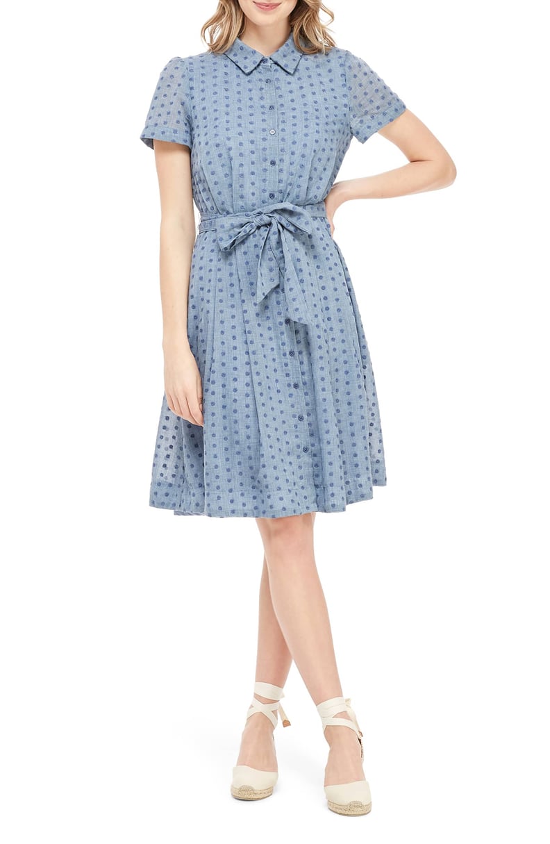 Gal Meets Glam Collection Button Down Fit & Flare Shirtdress