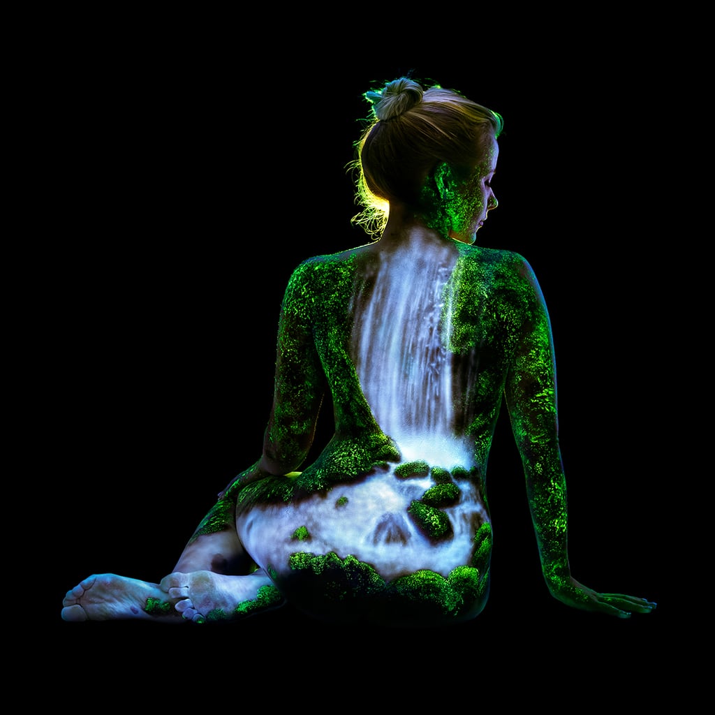 Rainforest waterfall