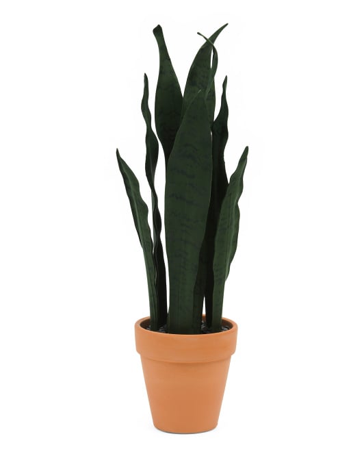 Faux Dark Sans Plant