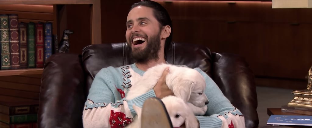 Jared Leto Pup Quiz on The Tonight Show August 2016