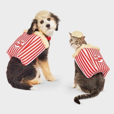 Popcorn Dog and Cat Costume