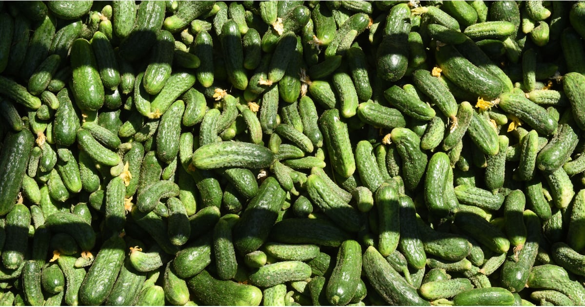 The Pickle Guys POPSUGAR Food