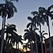Reasons to Go to Palm Beach, FL