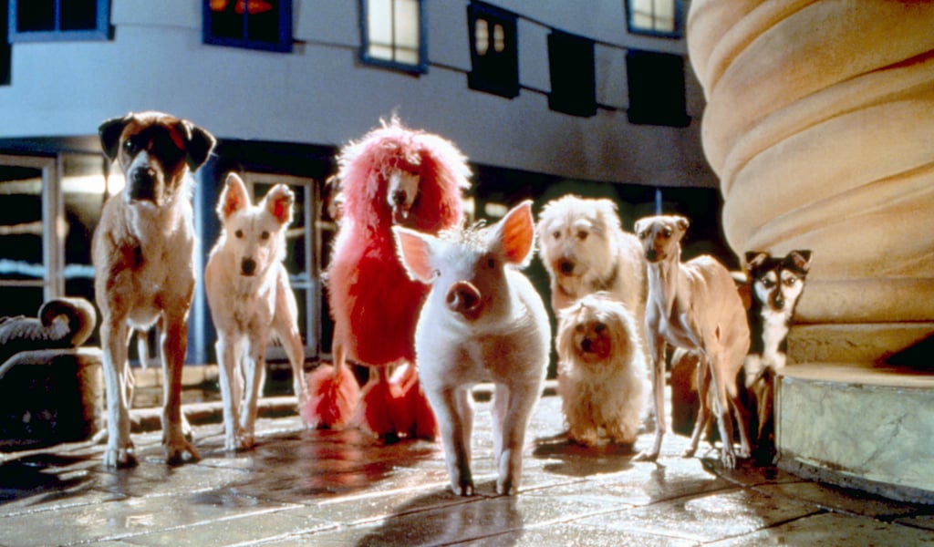 Babe Pig in the City TV Shows and Movies on Netflix For Kids February 2017 POPSUGAR Family