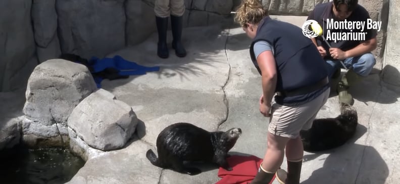 Monterey Bay Aquarium