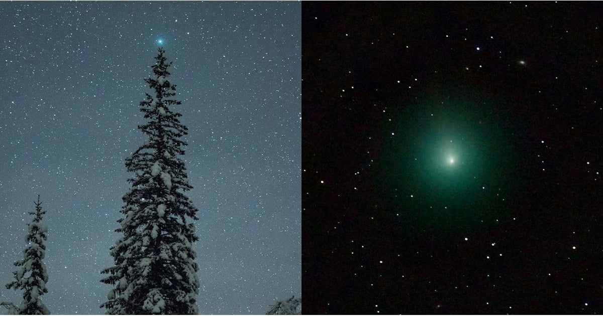How To Watch The Christmas Comet 2018 Popsugar News