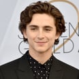 Timothée Chalamet and Saoirse Ronan Reunite For Wes Anderson Film The French Dispatch