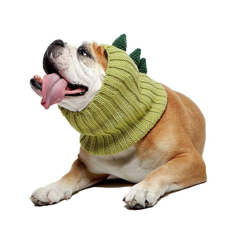 Dinosaur Dog Snood Best Dog Costumes on Etsy POPSUGAR Pets Photo 6