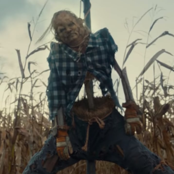 Scary Stories To Tell In The Dark Trailer Popsugar Entertainment