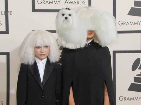 Was Sia wearing a wig? Or was it secretly a shaggy dog?