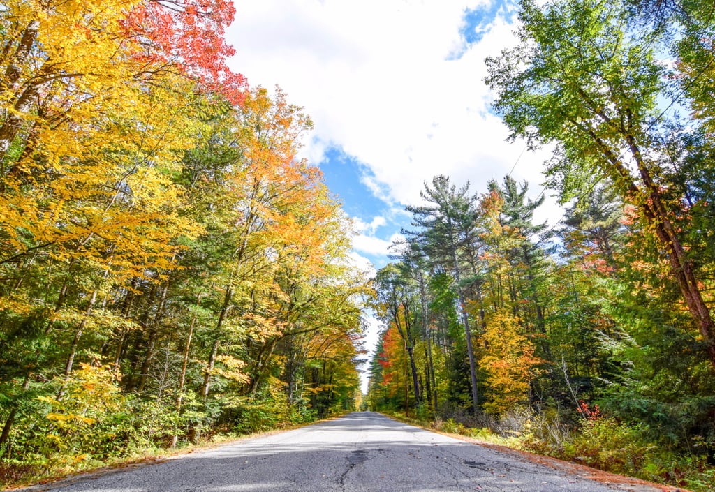 Best Places to See Fall Leaves in New York