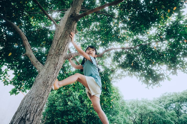 Low angle shot of brave Asian girl climbing a tree in nature park, having fun outdoors in the summer.