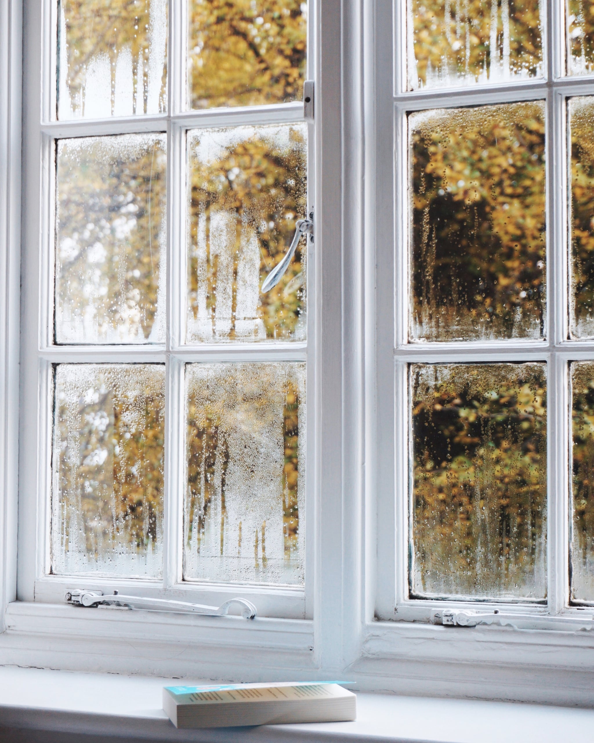 Open House Window Wallpaper