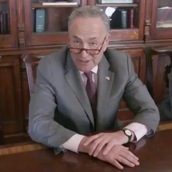 Chuck Schumer's Response to Trump's Cabinet Meeting