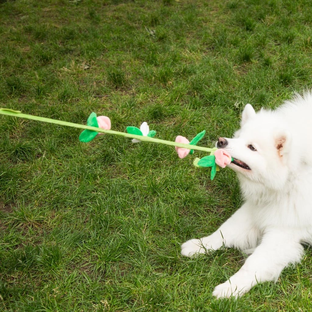 It Doubles as a Tug of War Toy!