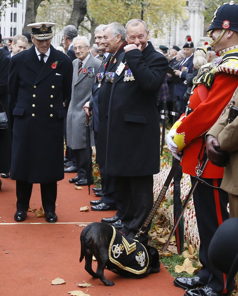 Prince Harry Prince Philip Pictures November 2015