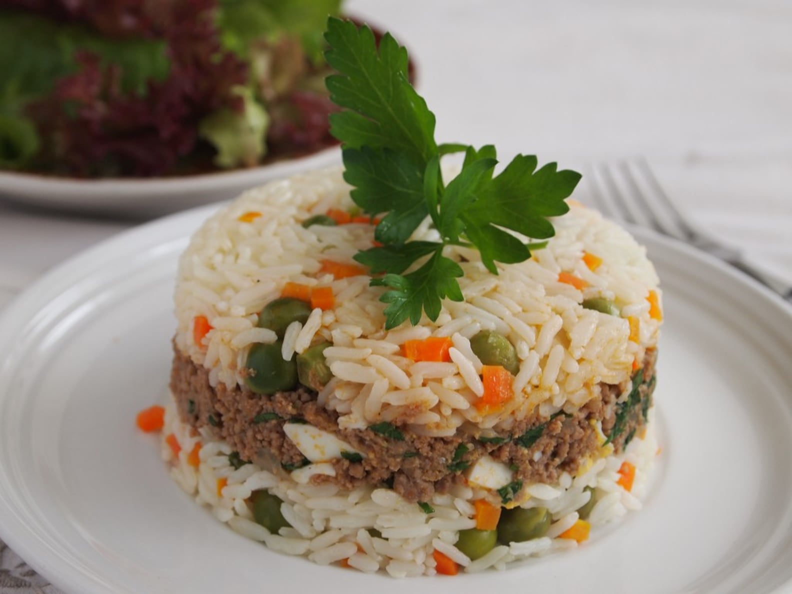 Latin Rice Recipes | PS Latina