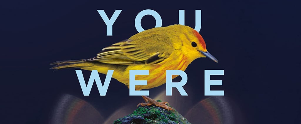 Jodi Picoult Wish You Were Here Book Review