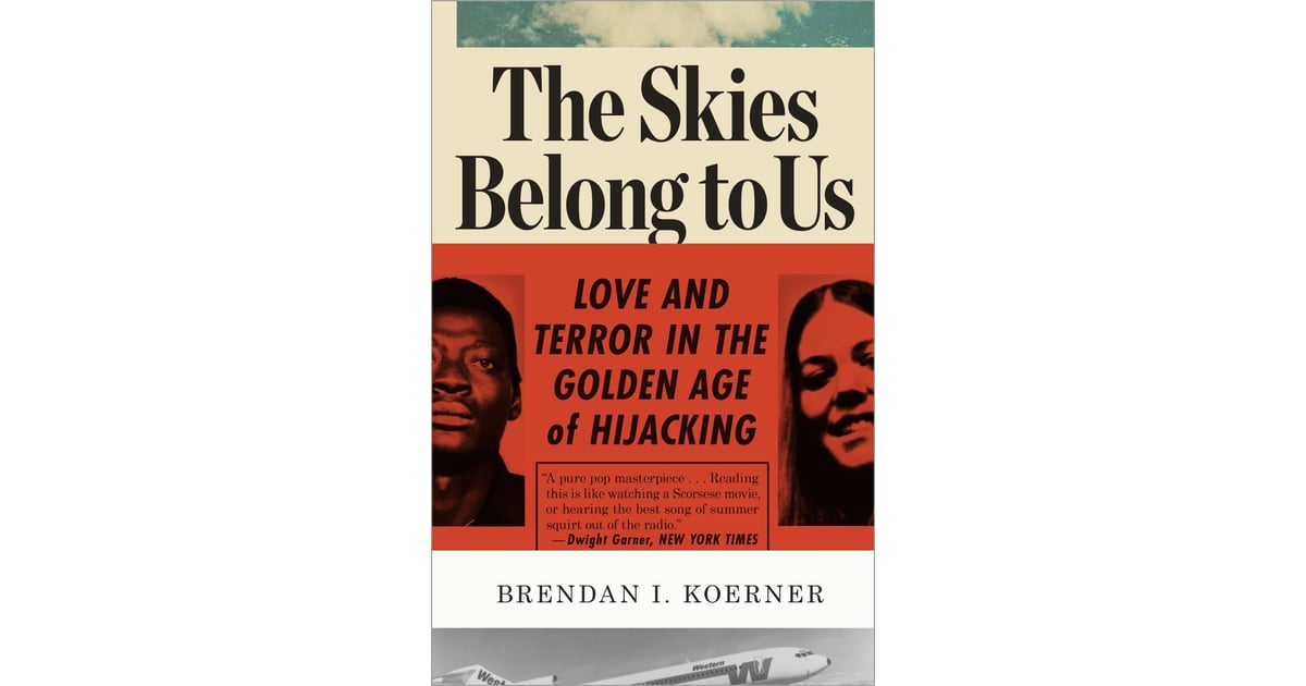 The Skies Belong to Us by Brendan I. Koerner