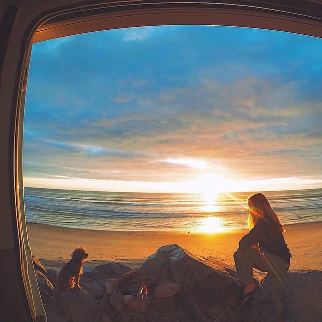 Photos of Dogs Camping