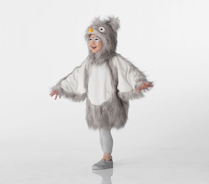 Pottery Barn Kids Woodland Owl Costume