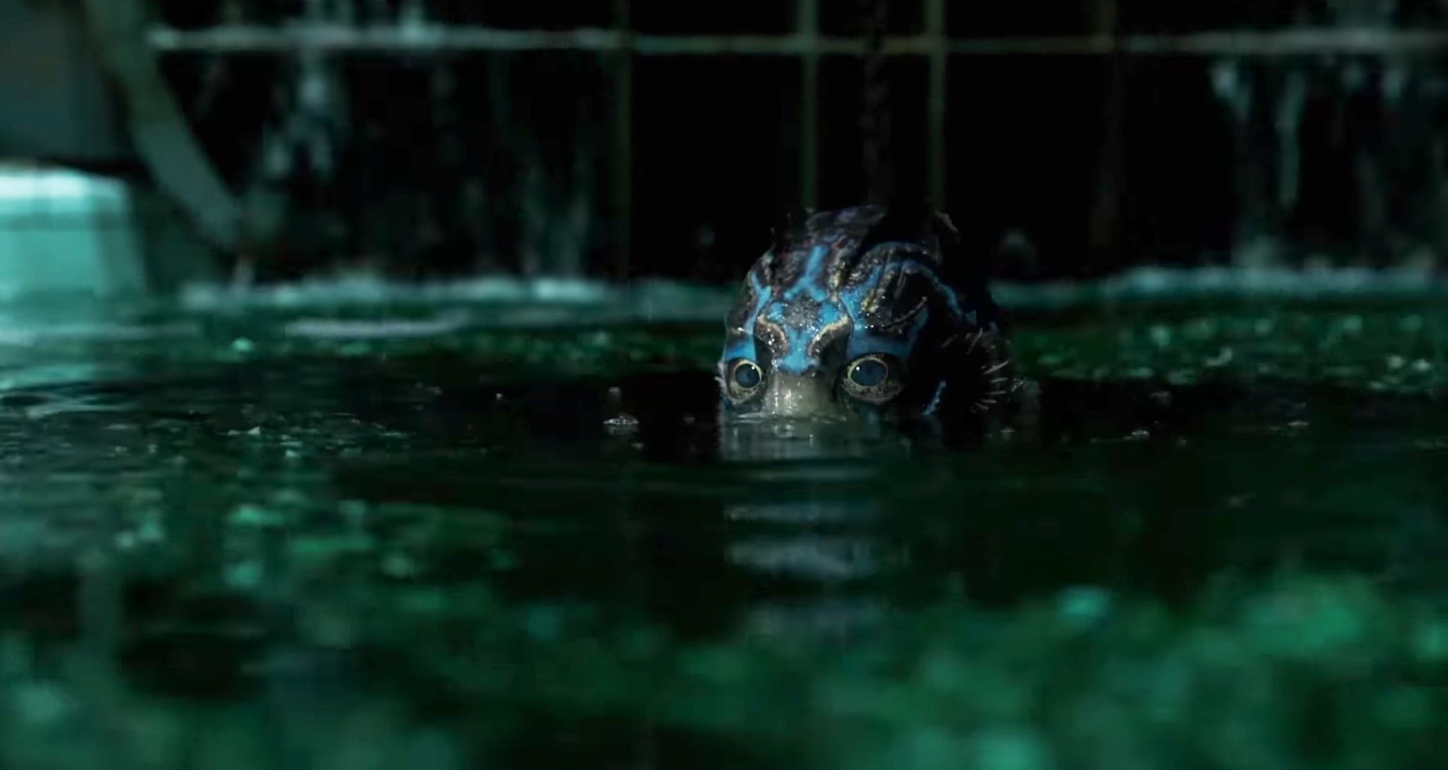 Resultado de imagen para the shape of water