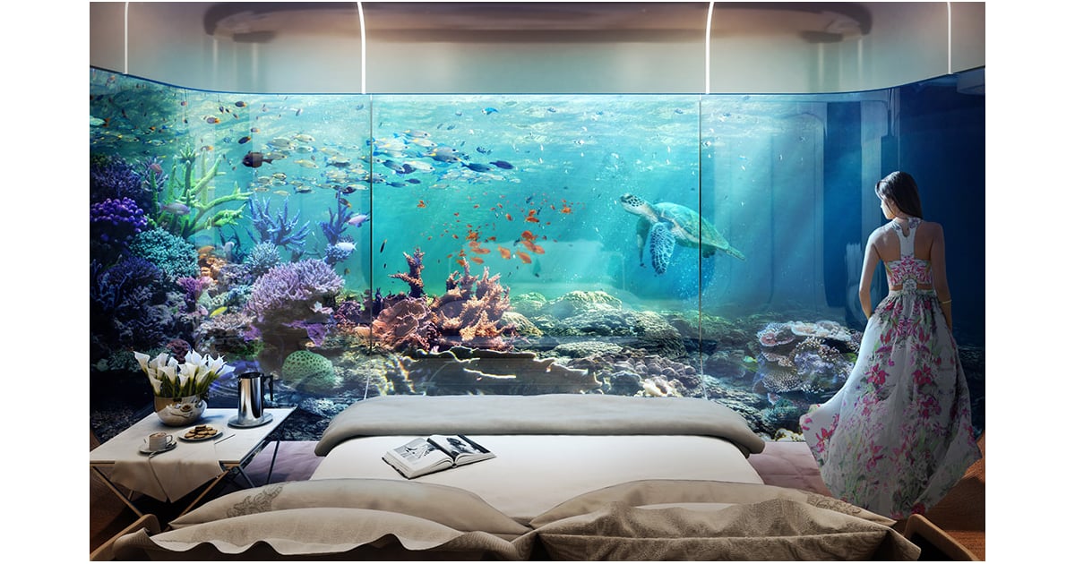 Live Underwater In The Floating Seahorse Luxury Houseboats