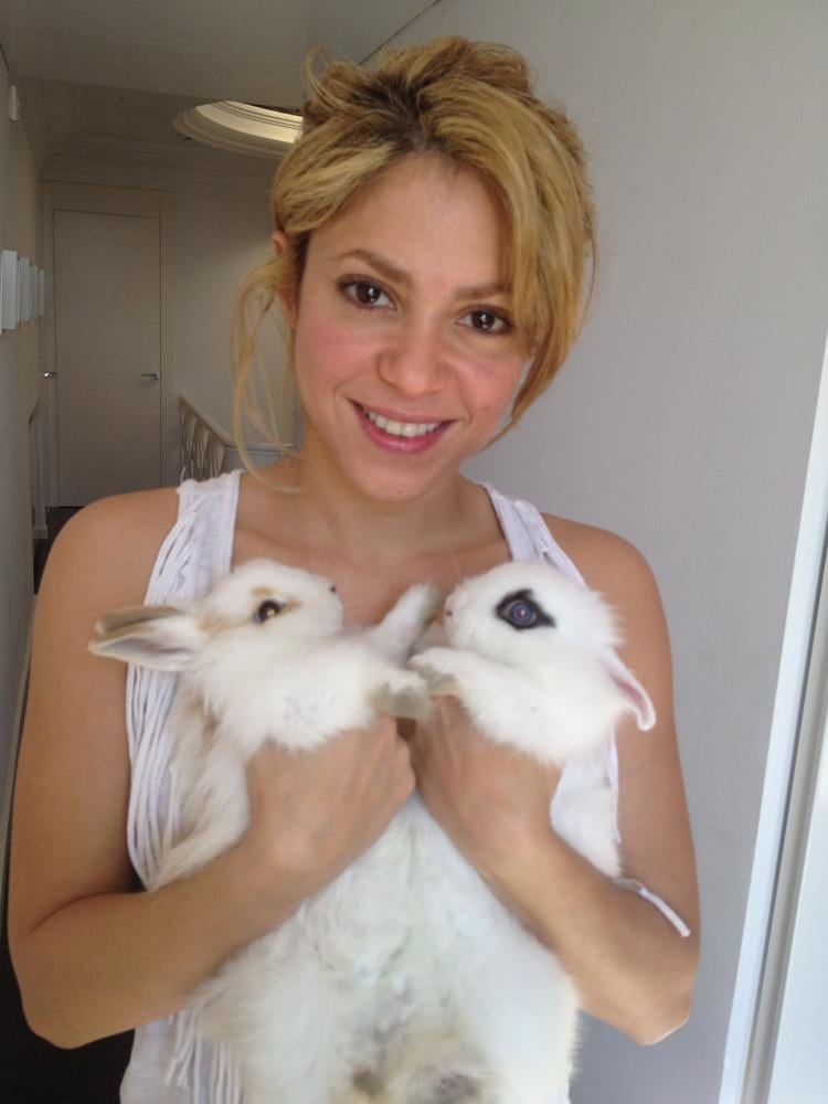 Shakira 50 Celebrities To Like On Facebook Popsugar Celebrity Photo 12