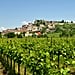 Best Wine Travel Destinations