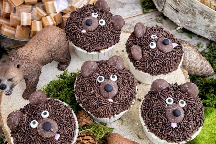 Wilderness-Themed Birthday Party