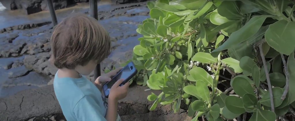 Kids Playing Pokemon Go on Vacation