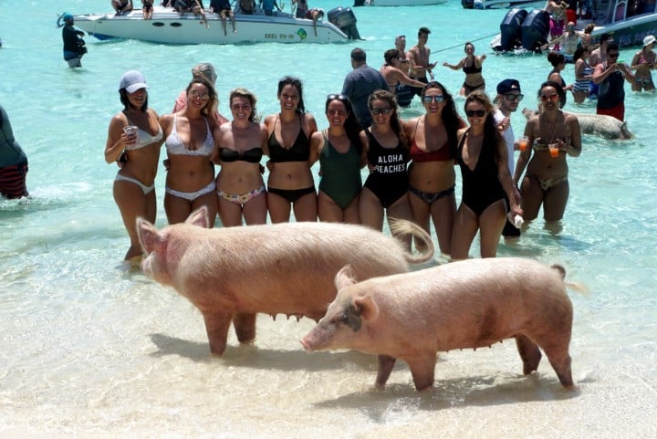 What Happened at Fyre Festival