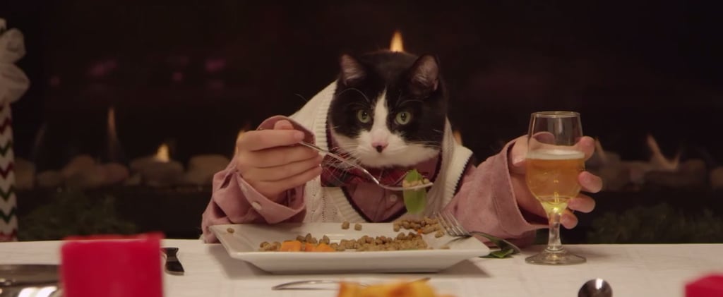 Pets With Human Hands in Freshpet Ad