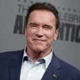 Arnold Schwarzenegger Had the Perfect Comeback to Donald Trump's Insults About The Apprentice