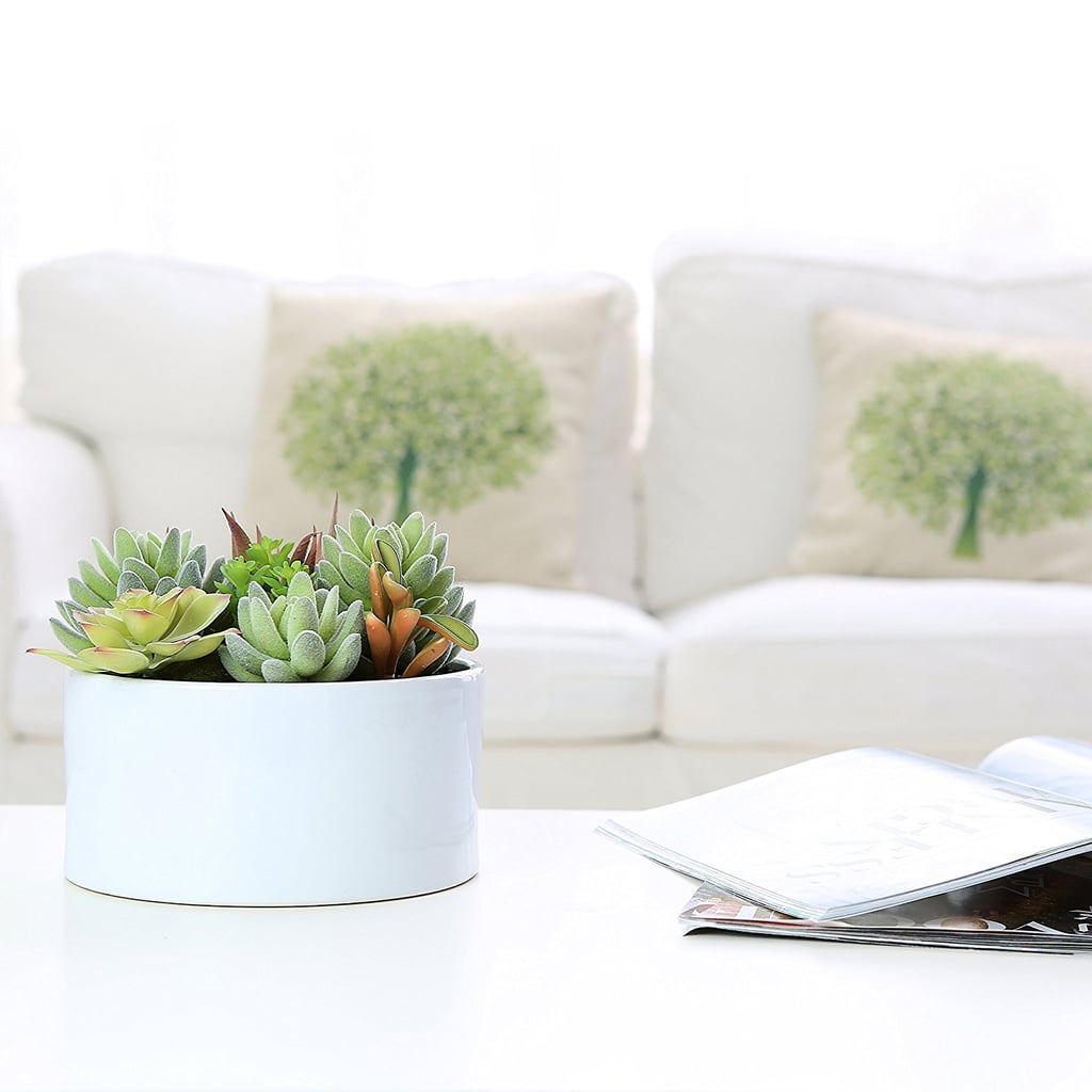 Faux Potted Succulents in Glazed White Ceramic Flower Pot