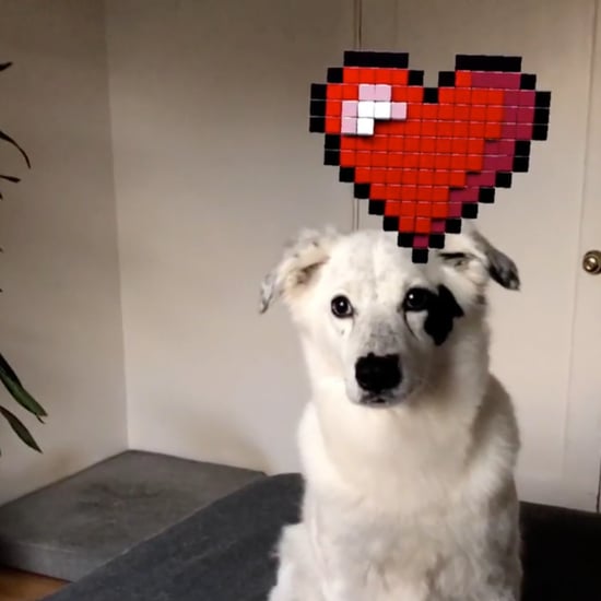 How Do I Use Facebook Messenger World Effects 3D Objects?