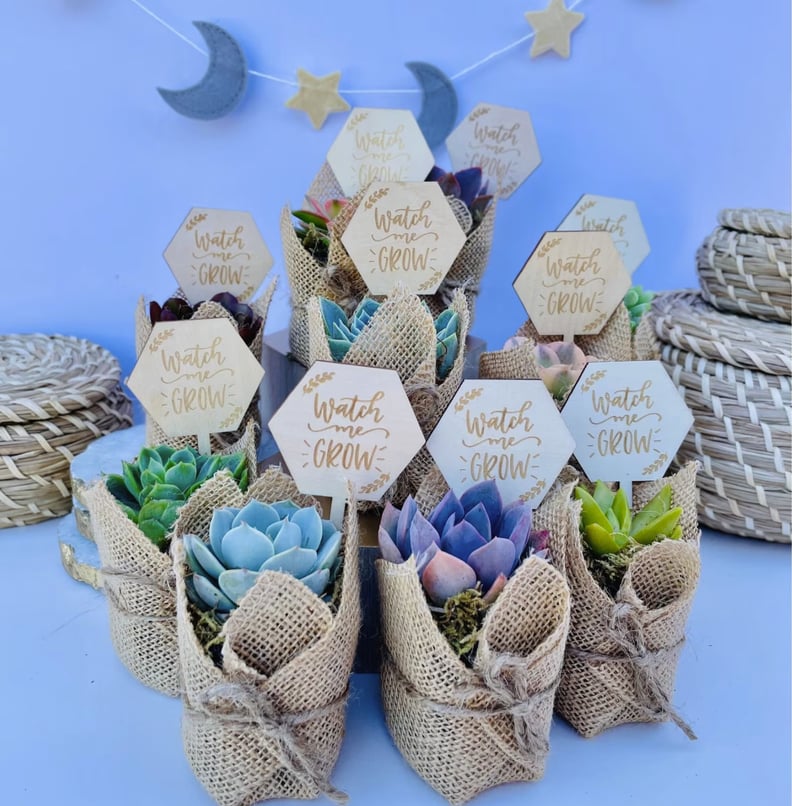 Baby Shower Favor Bags, Fall Baby Shower Favors