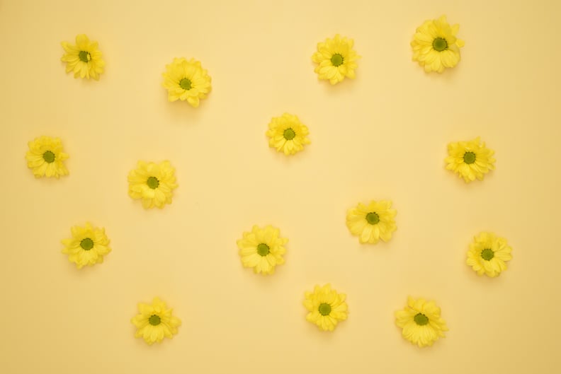 春天桌面壁纸:黄色的雏菊