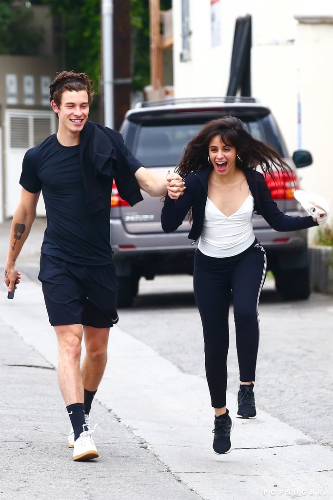 Are Shawn Mendes and Camila Cabello Dating?