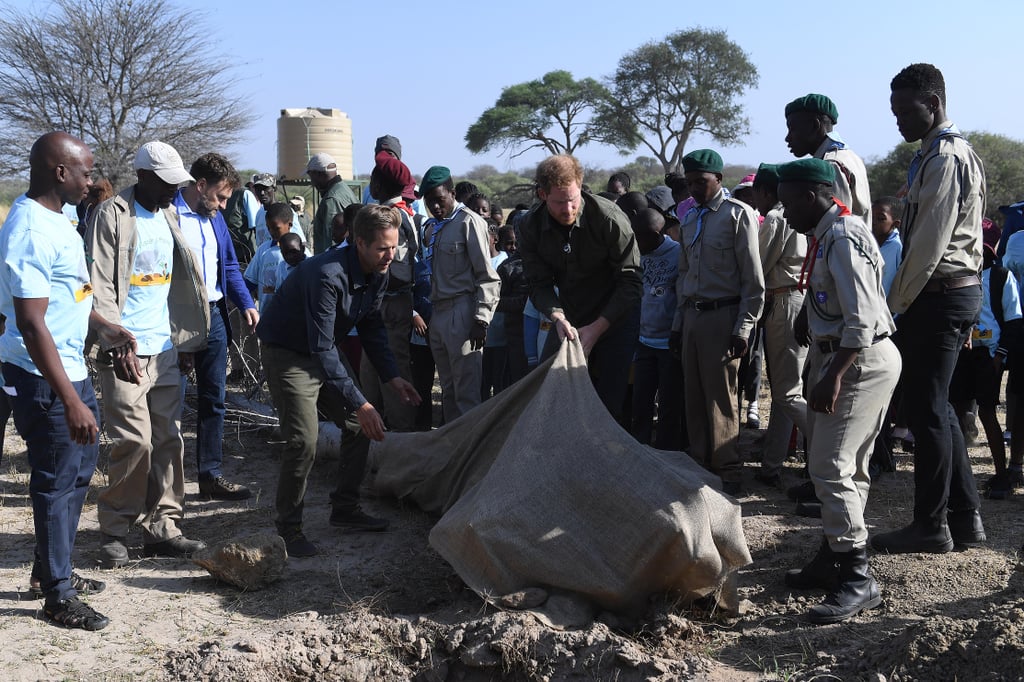 Why Is Africa Important to Prince Harry?