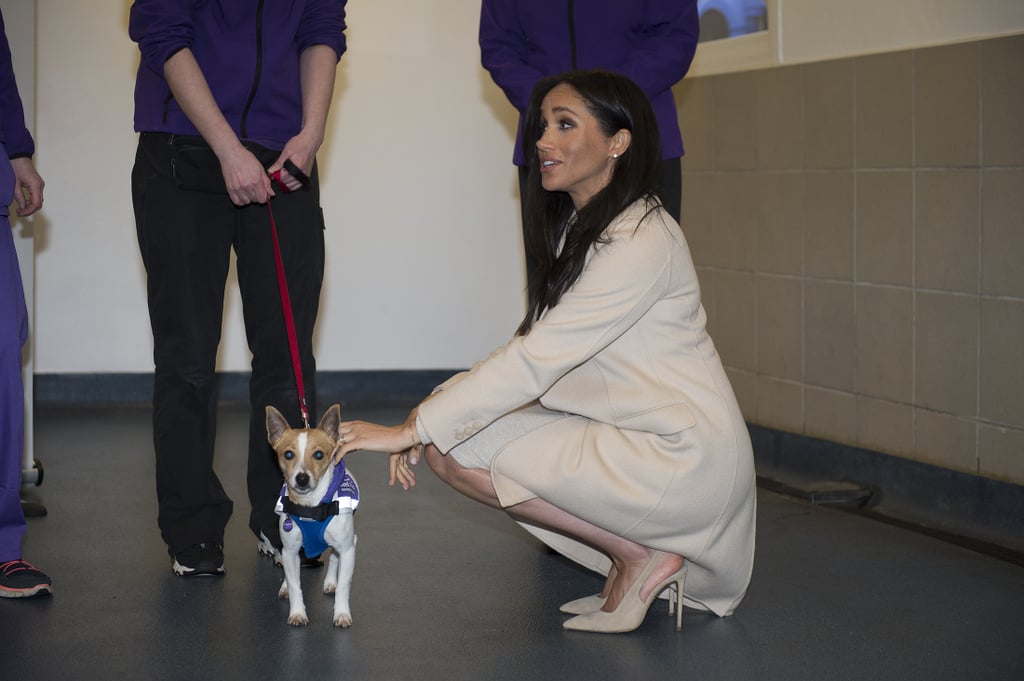 Meghan Markle Visits Mayhew January 2019