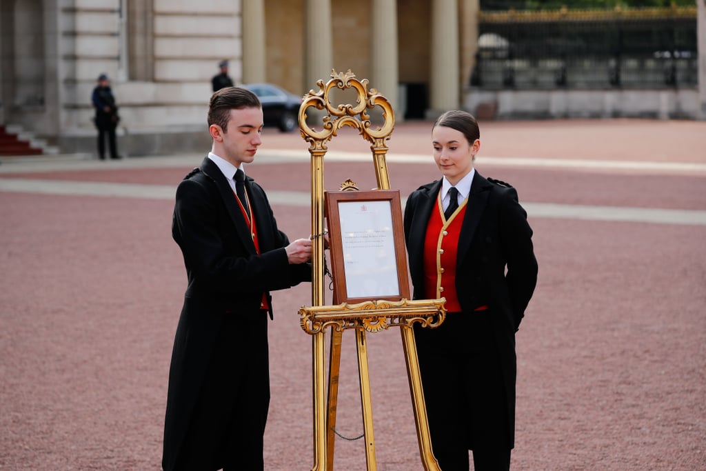 Prince Harry Announcing the Birth of His First Child Video